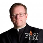 bishop barron catholicism bishop barron catholicism