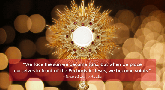 Bring our Eucharistic Miracles Display to your Parish