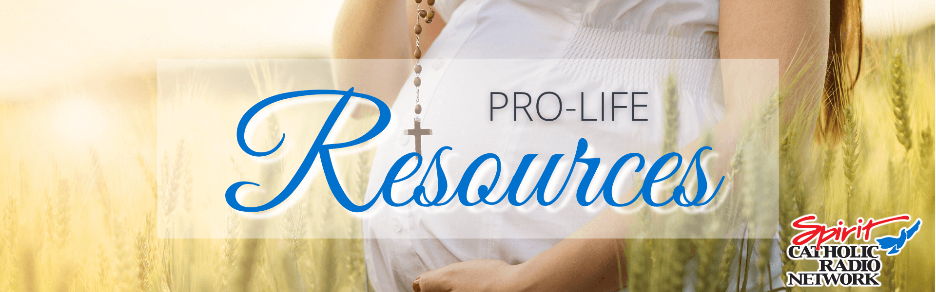 Pro-life Resources