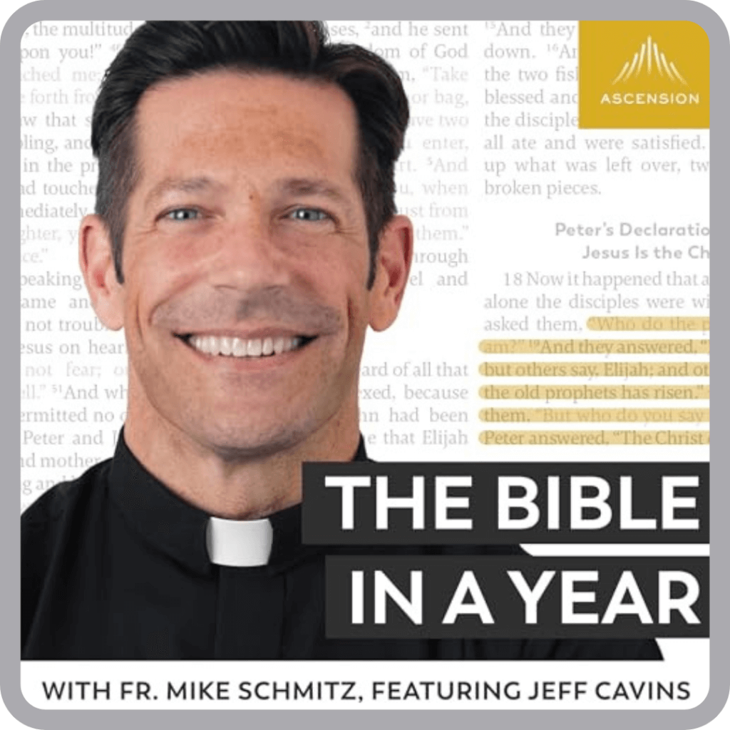 bible-catechism-in-a-year-with-fr-mike-schmitz-spirit-catholic